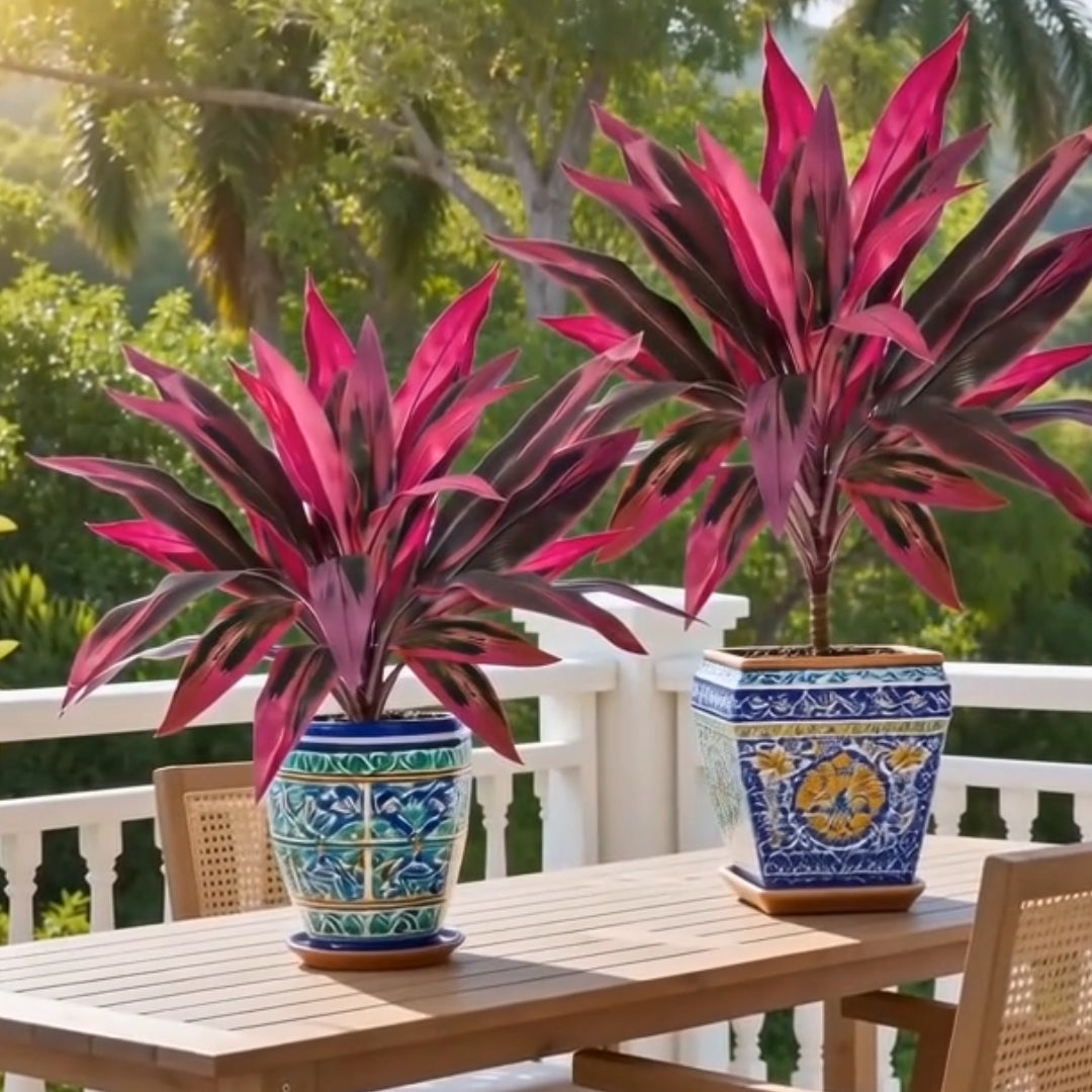 💥BUY 1 GET 1 FREE (2 PCS)🔥Artificial Boston Fern & Dragon's Blood Tree Plants