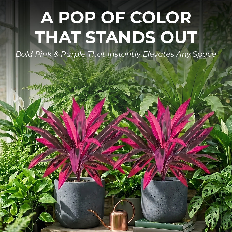 💥BUY 1 GET 1 FREE (2 PCS)🔥Artificial Boston Fern & Dragon's Blood Tree Plants