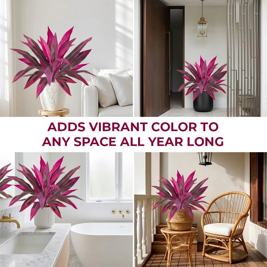 💥BUY 1 GET 1 FREE (2 PCS)🔥Artificial Boston Fern & Dragon's Blood Tree Plants